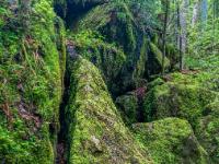 Abgespaltenes Felsstück von großer, bemooster Felsgruppe